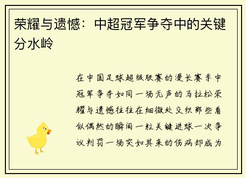 荣耀与遗憾：中超冠军争夺中的关键分水岭
